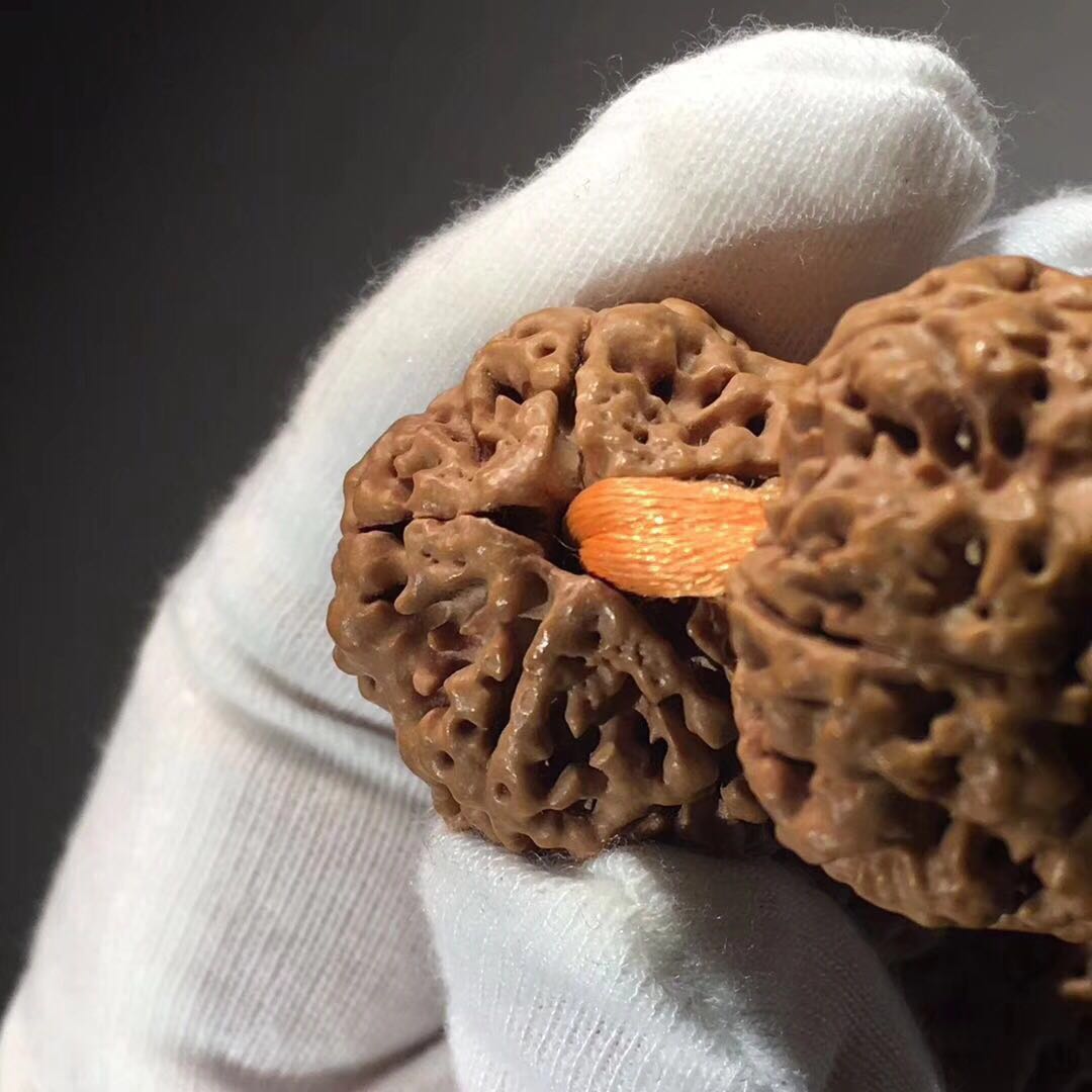 五星双龙大金刚菩提手串,大金刚菩提蜂窝双龙极品