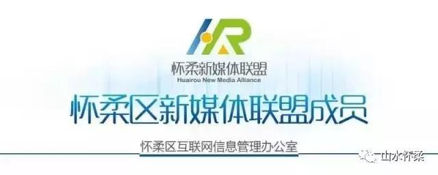 万达影城青苹果影院,万达影城最适合看的电影