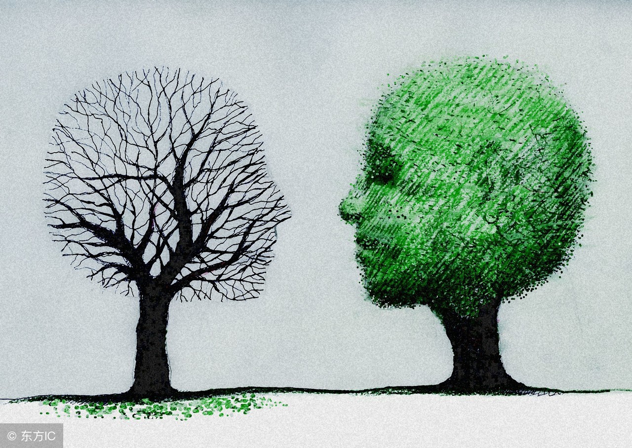 你的字典有让字吗,你的字典里有不字吗什么意思