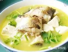 夏天来了，吃什么鱼好呢？