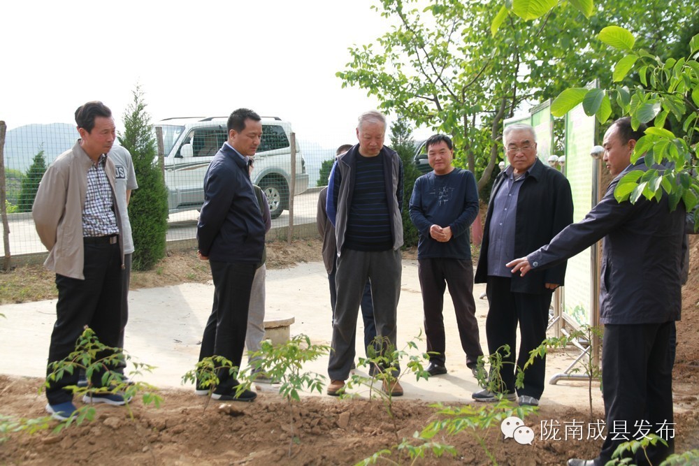 要闻丨何光弟等领导在成县调研工作