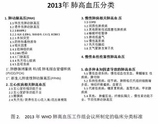 荆志成：特发性肺动脉高压1例