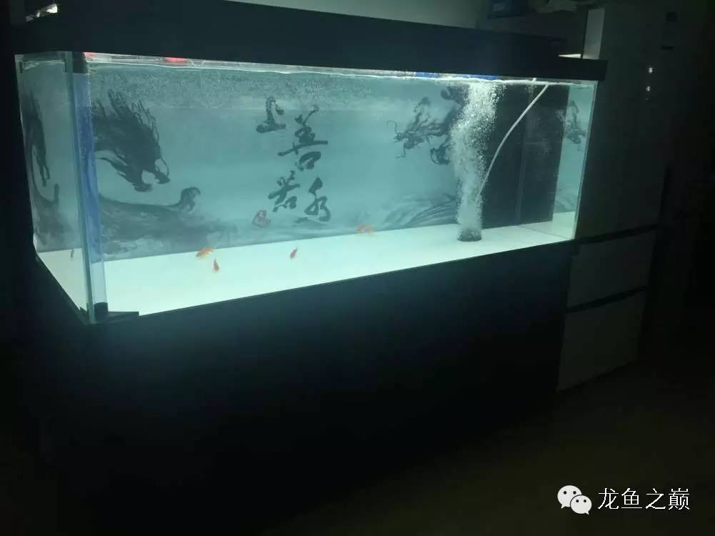 开启人生第二个阶段,开启人生中的第三年