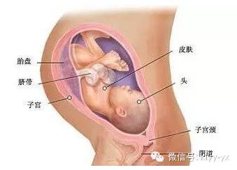 世界防治哮喘日内容,世界防治哮喘日动画
