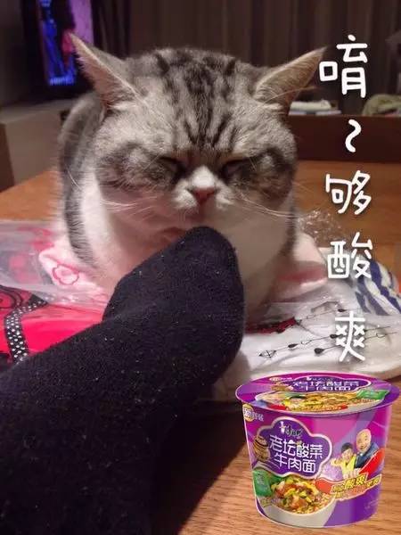 如小果专访：菲比和她家的肉丝！