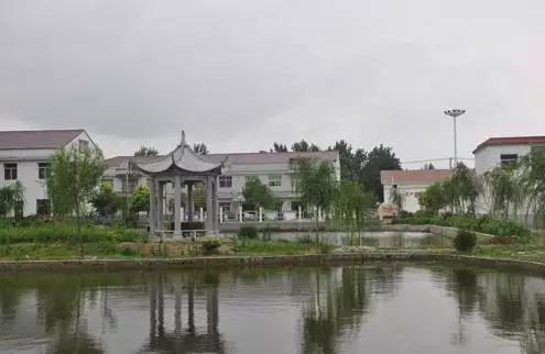 淮南资讯|淮南网正式上线运营