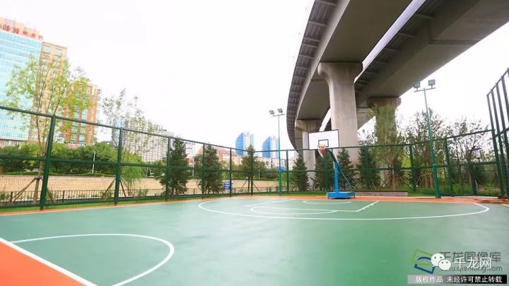 未来五年园林绿化前景,未来5年绿化公园