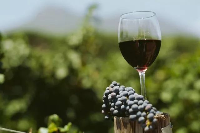 瑗跨彮鐗欏拰姣曞皵宸撮剛,姣曞皵宸撮剛鍦ㄨタ鐝墮