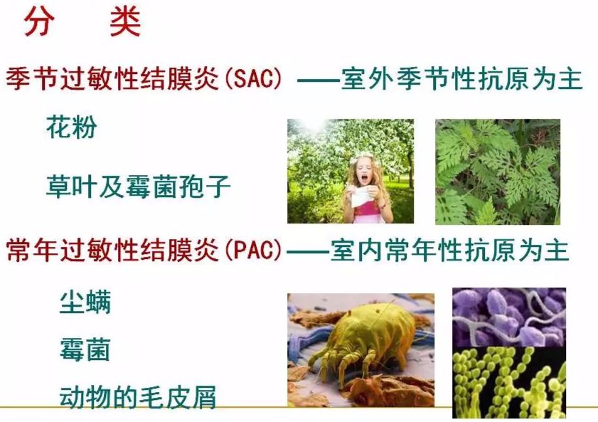 眼睛过敏如何预防,治疗眼周围过敏方法