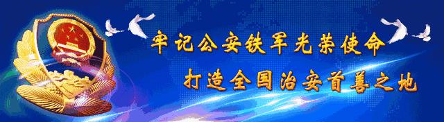 新年小锦囊,蜀黍的新年礼物