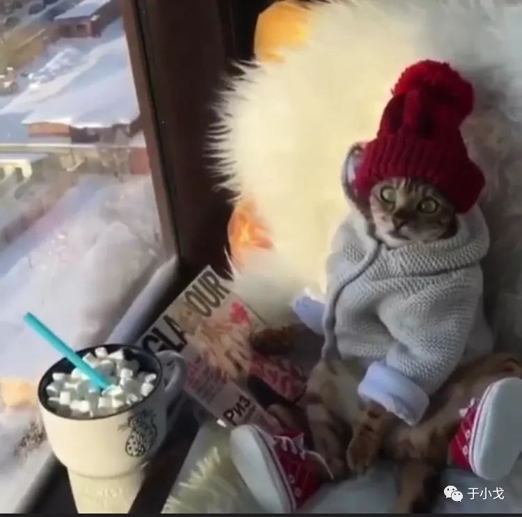 空瓶记护肤品使用感受,空瓶记20个产品