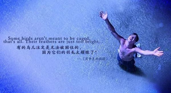 从褚时健、黄光裕、王欣，看“高墙”内外的企业家救赎