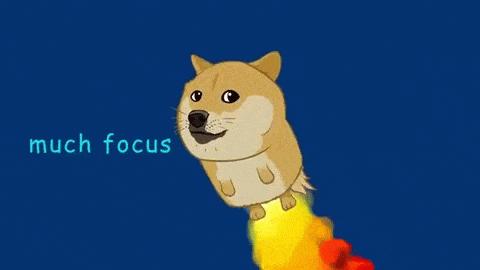 doge币最新现状,doge币2022年能涨到多少