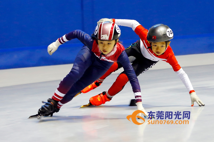 东莞市运动会2017赛程,2017年东莞体育赛事