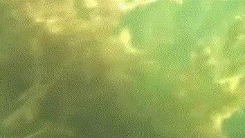 夏季野钓综合性最好的鱼钩型号,野钓通用鱼钩怎么选择最好