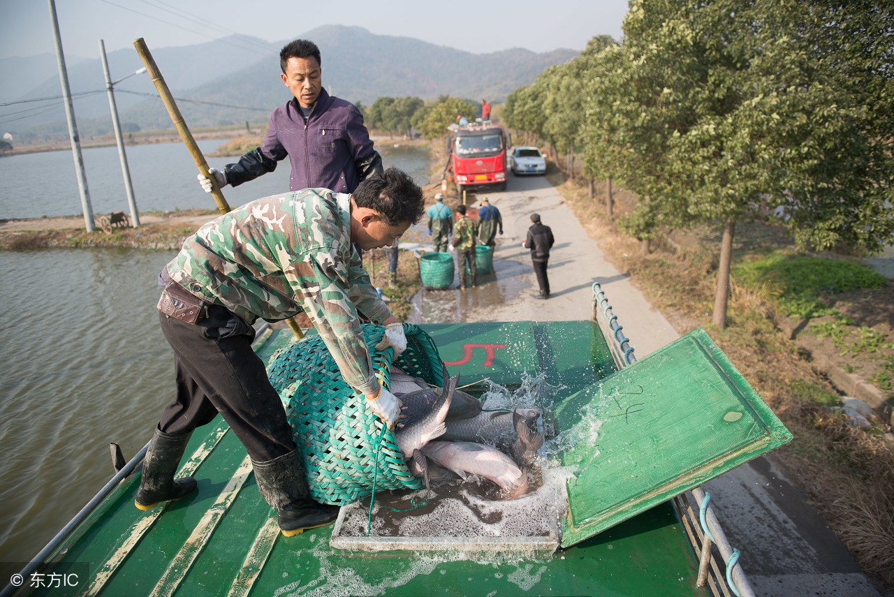 打工和创业哪个容易实现财富自由,去哪里打工才能有创业思维