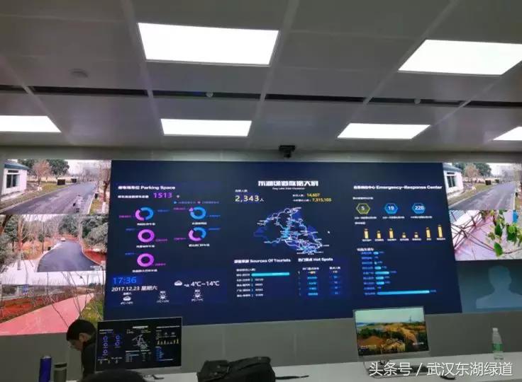 东湖绿道生机勃勃,世界级绿道东湖绿道