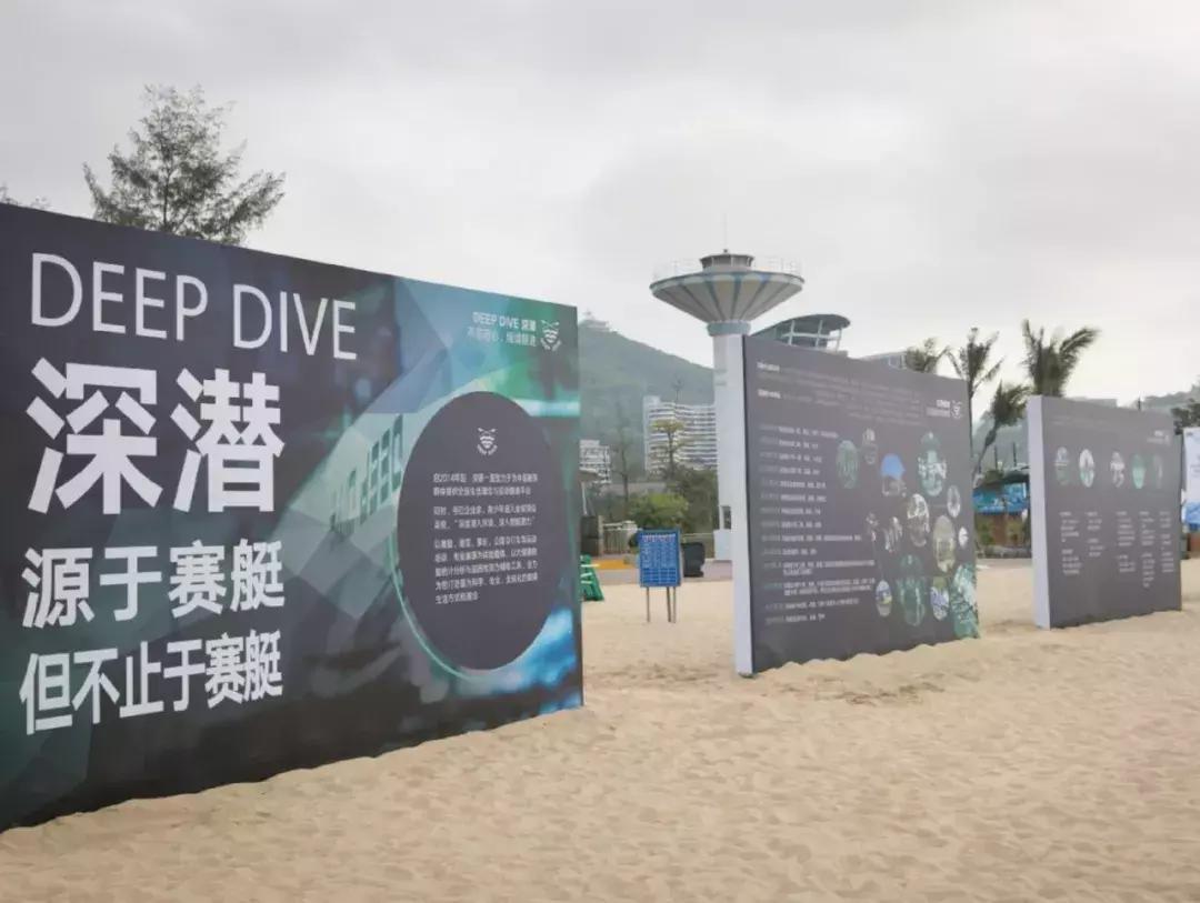 王石登山赛艇,王石的运动生涯