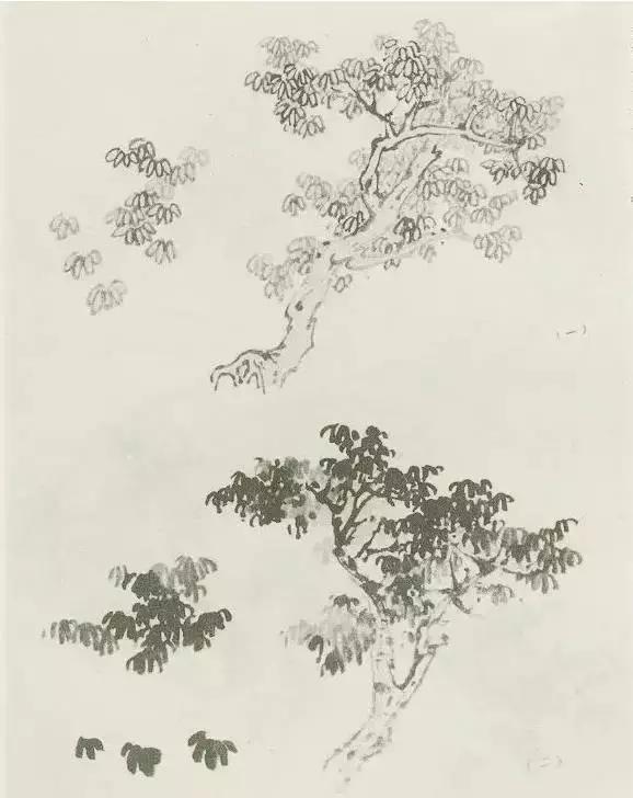 怎么画枯萎的树简单又好看,成长树怎么画小学生六年级