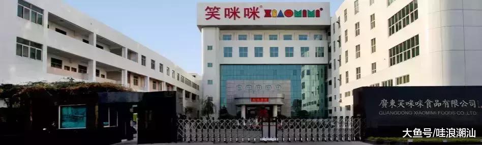 庵埠最有实力的厂家,庵埠优质企业