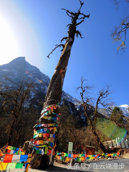 西藏燕子沟,藏教圣地的视觉震撼