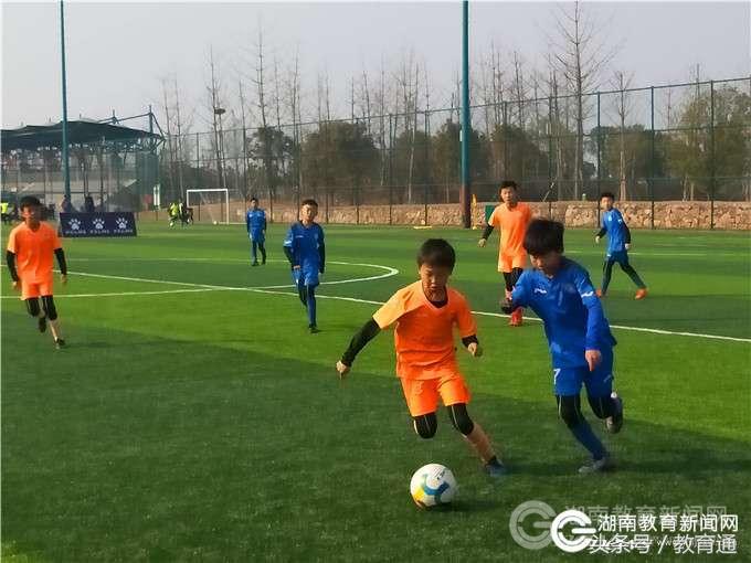 赫山小学足球联赛,赫山中学足球队