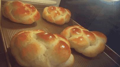 适合新手的烤箱烘焙食谱,烘焙新手该如何买第一个烤箱