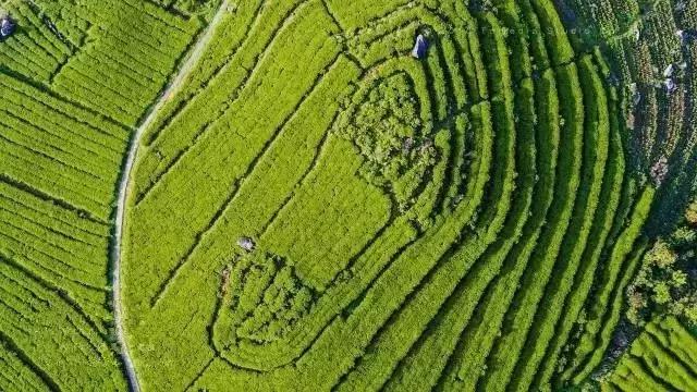 南昌自驾游攻略景点推荐一日游,南昌附近免费好玩的地方自驾游