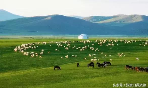 张北的草原,张北草原人少景美