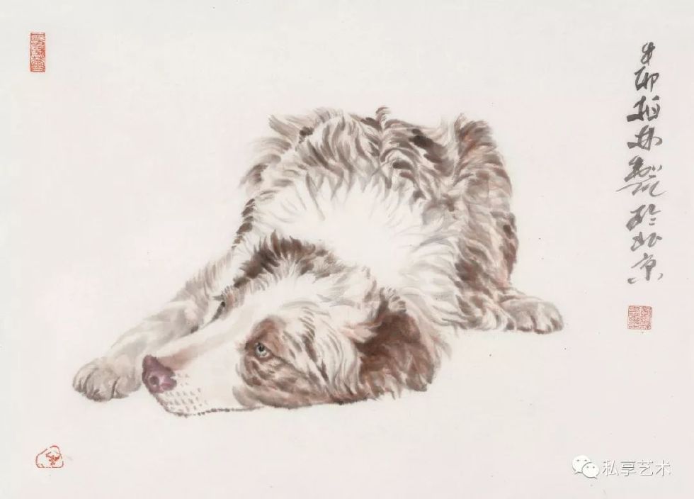 瑞犬迎春视频完整版,瑞犬迎春