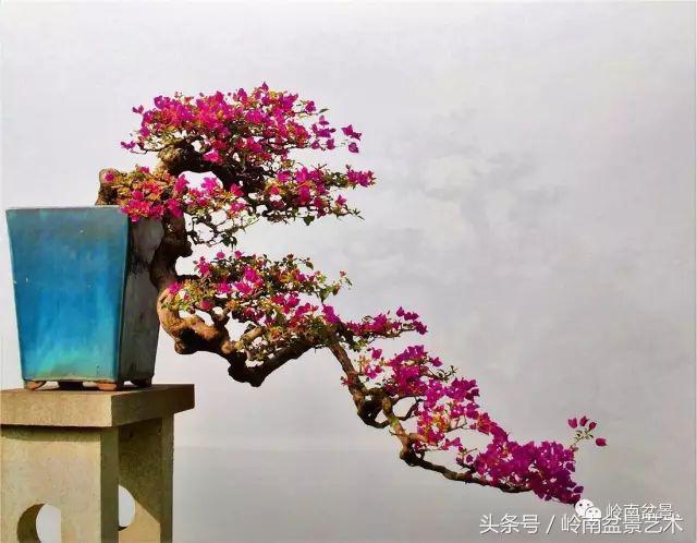 过年送礼好不好,过年送礼单数还是双数好