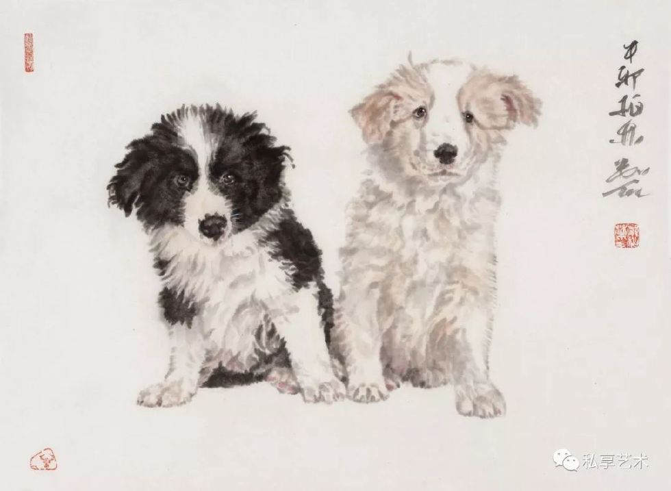 瑞犬迎春视频完整版,瑞犬迎春