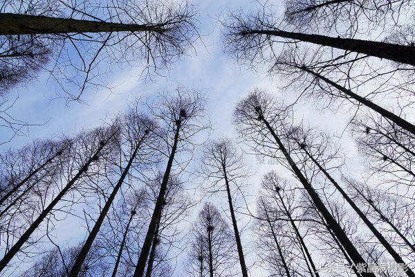 武磊身价能涨到2000万欧吗,武磊最新身价达2000万欧