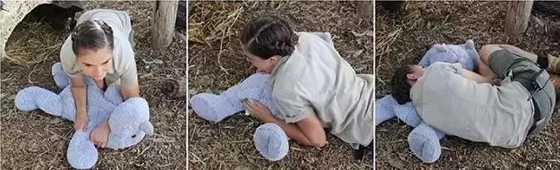 令人捧腹！澳洲管理员模仿动物搞笑照片蹿红网络