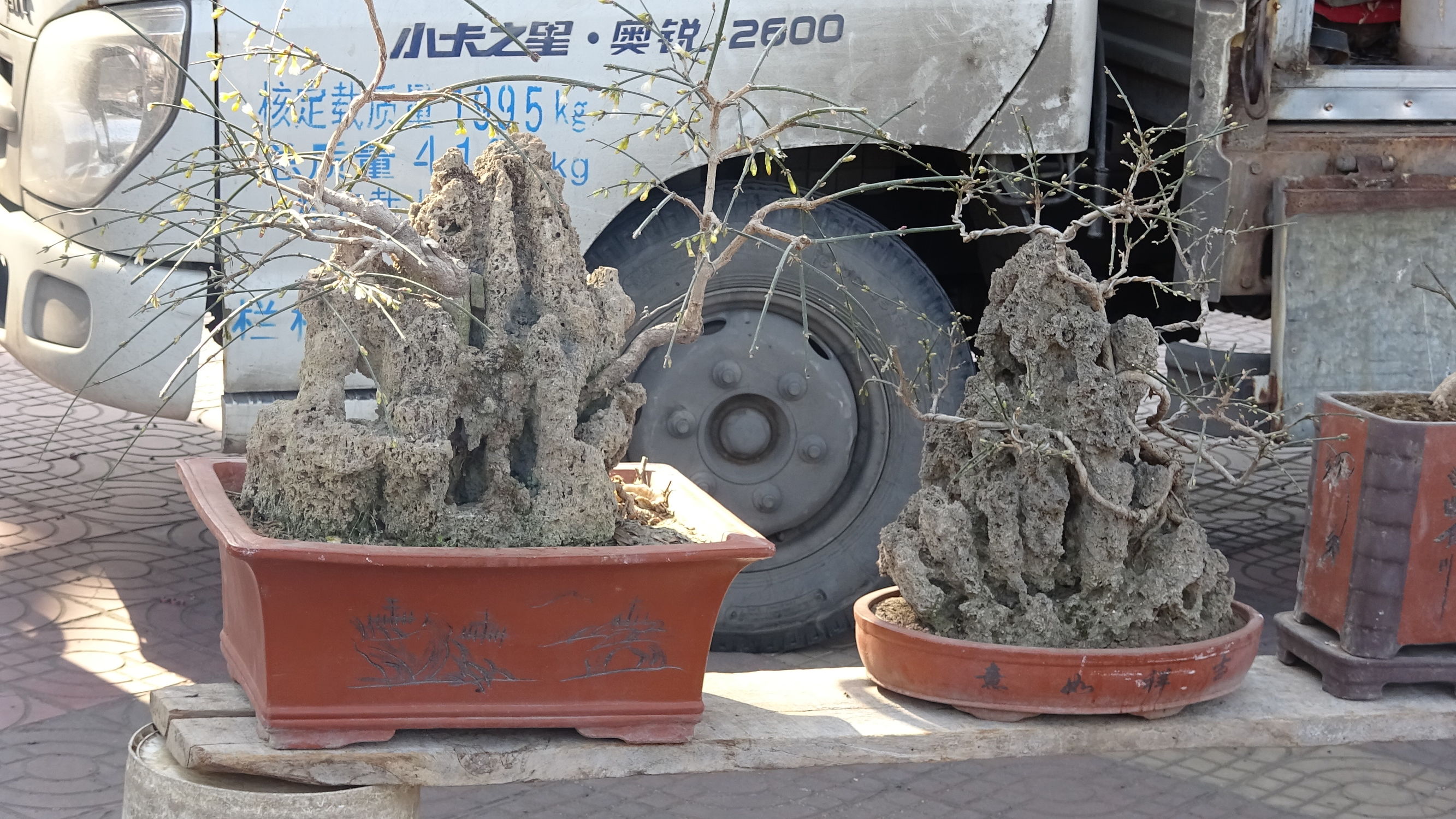 我的家乡集市,临朐县城大集