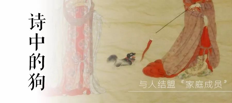 瑞狗迎春金狗纳福,瑞犬纳福2018年
