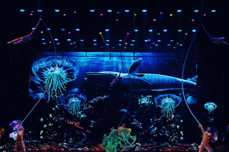 死海景区泡温泉,死海漂浮汤泉