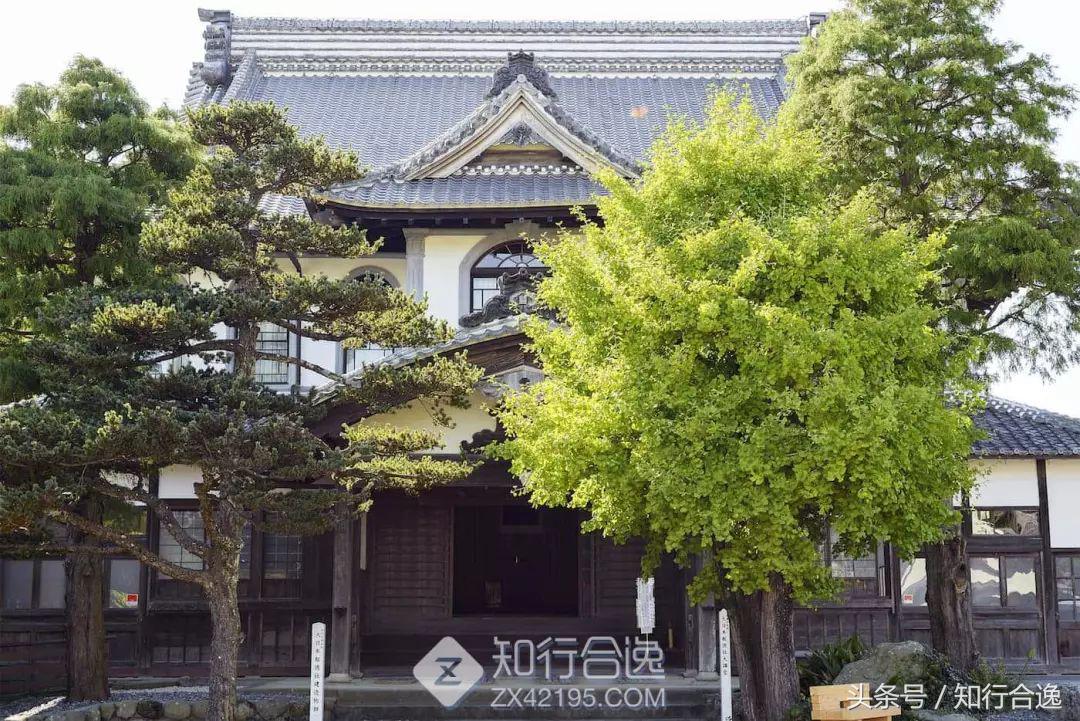 草莓补给，初春十里茶园为赛道，来挂川喝茶跑马！