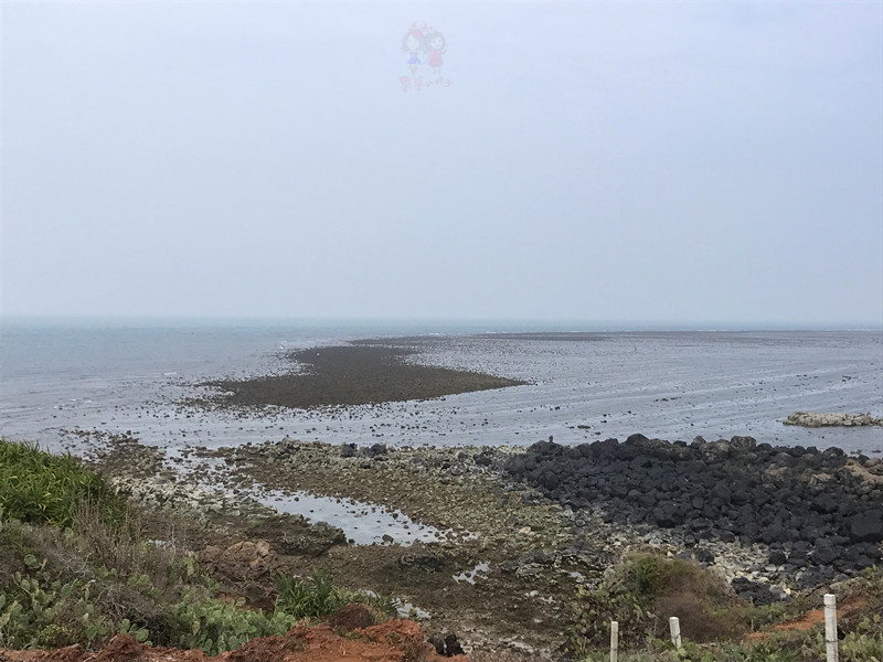 火山石晒盐，活珊瑚与苏东坡的晚年——我在海南画了一个圈儿,6