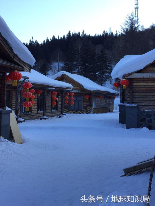 小白鲸的东北之旅｜地球知识局