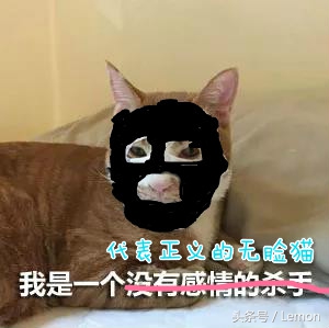 买面膜送猫,买面膜送小样补水