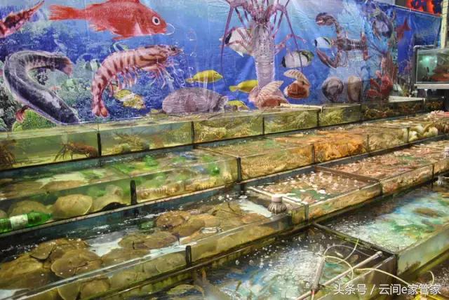 春节留深,去哪里买年货又省又全?