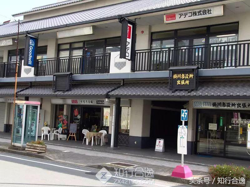 草莓补给，初春十里茶园为赛道，来挂川喝茶跑马！