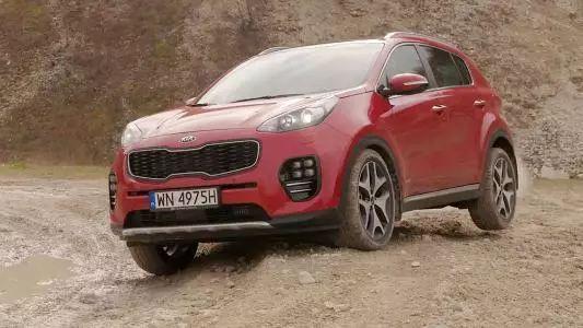 旅行青蛙可以养成大青蛙吗,旅行青蛙耍帅