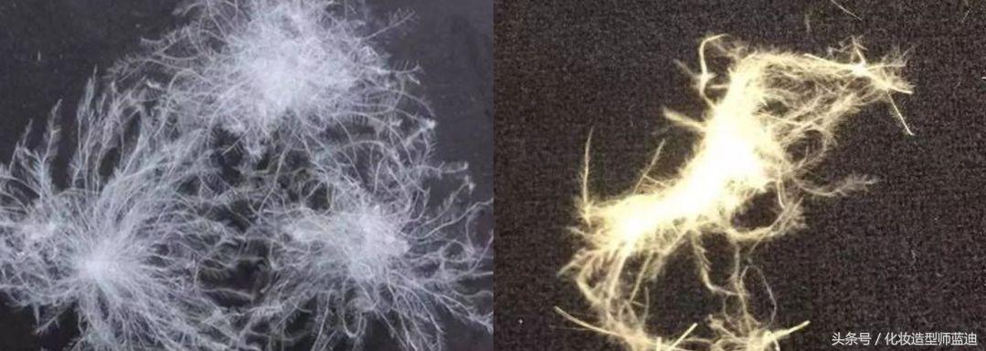 如何避免买到假的羽绒服,防不胜防假货