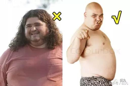 日本研究秃顶,日本教授秃头研究