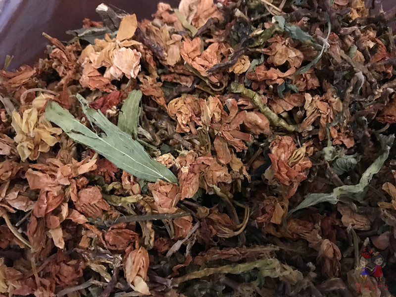 火山石晒盐，活珊瑚与苏东坡的晚年——我在海南画了一个圈儿,6