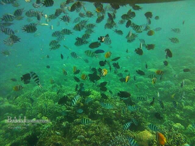 夏天适合情侣去的小众海岛,最适合情侣去的小众海岛