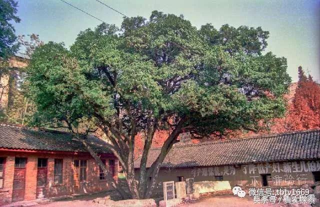 汉水源头南源,汉江南水北调的源头