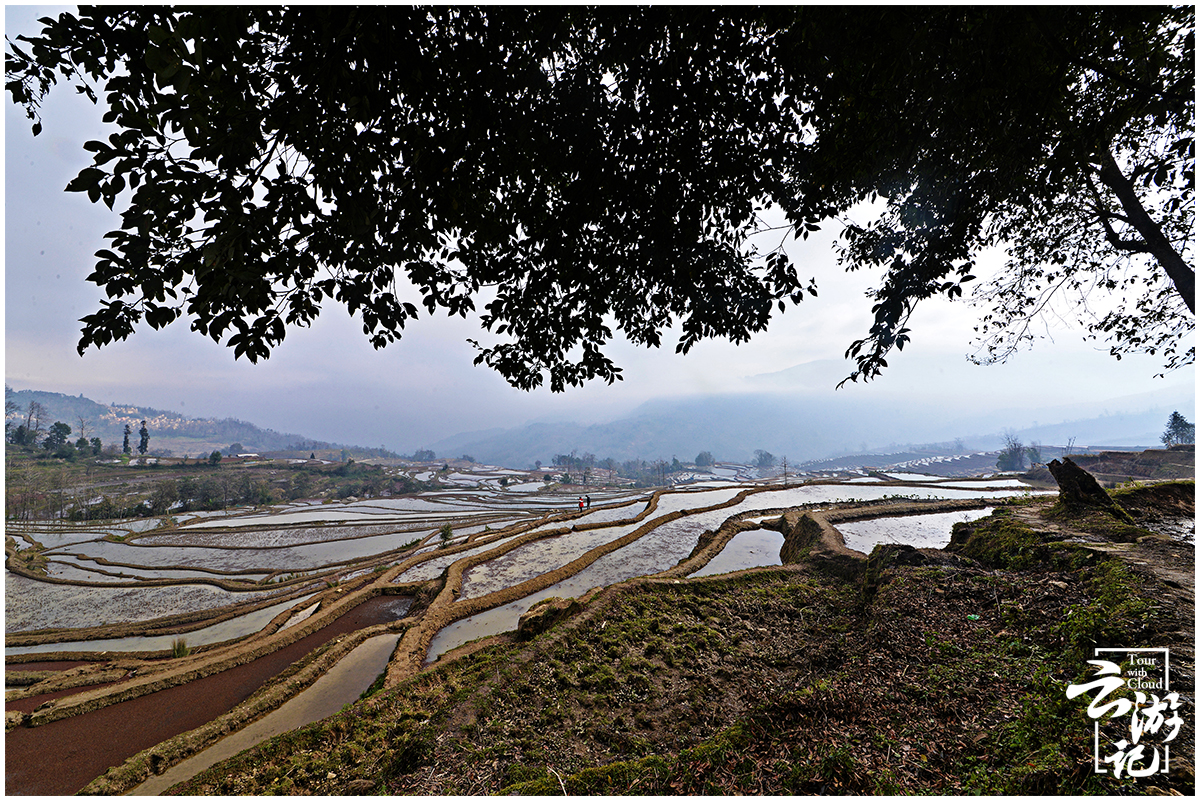元阳梯田旅行攻略,元阳梯田自由行攻略